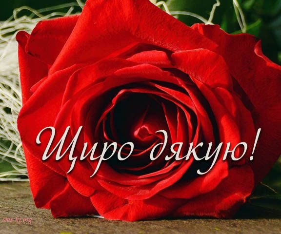 Слова дякую за привітання з днем народження українською мовою